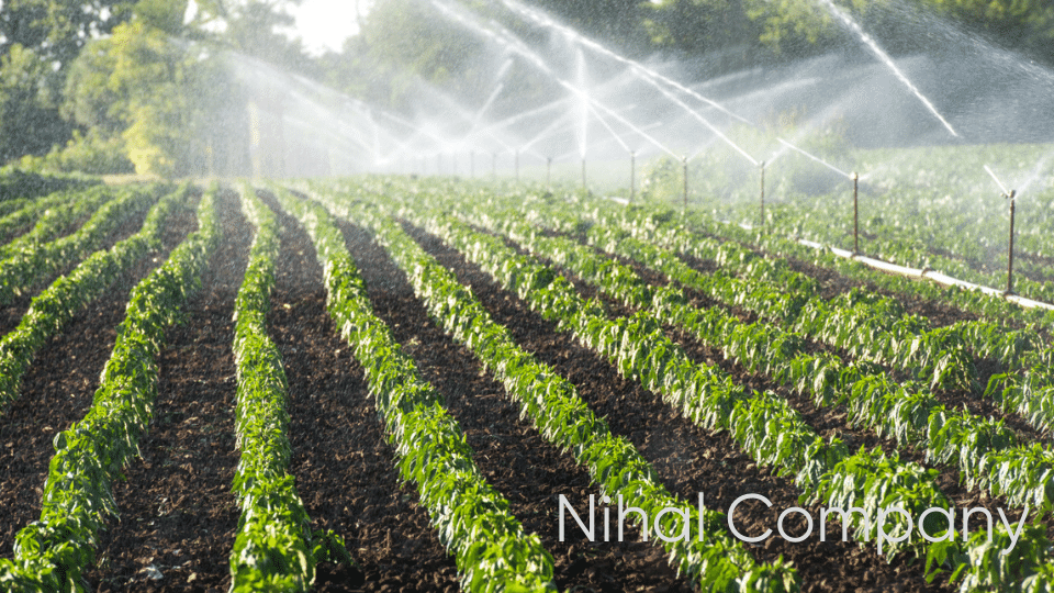 Nihal Company agricultural irrigation systems 4